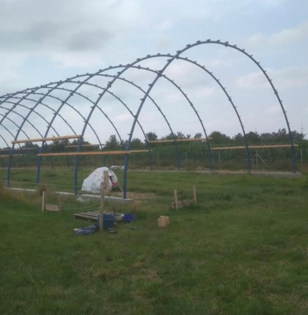 Screenshot_20240106_175748_Messages